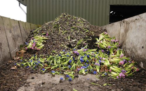 Bedrijfsleven-Bollenstreek-reststromen-compost